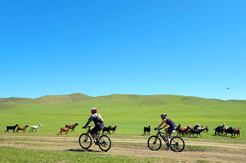 Cycling throught Khustai national park